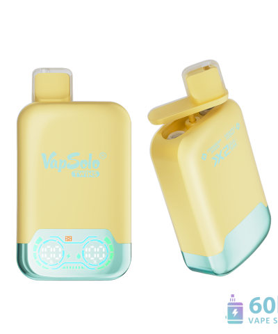 Vapsolo Twins 20000 Puffs Dual Flavor Disposable Vape | Rechargeable Device alternatiivne vaade
